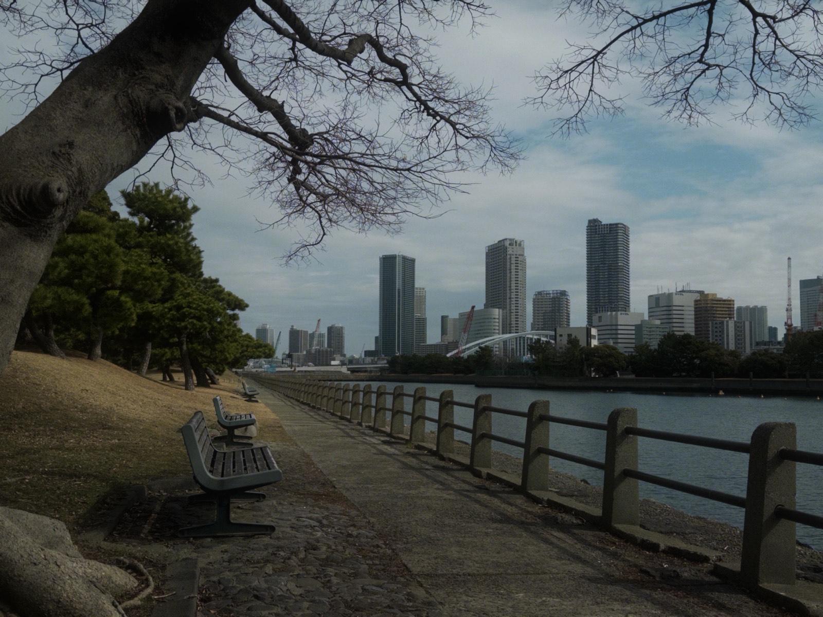 Frame 11